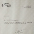 Acercar imagen: certificate 10