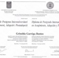 Acercar imagen: certificate 3
