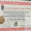 Acercar imagen: certificate 16