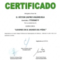 Acercar imagen: certificate 28