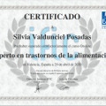 Acercar imagen: certificate 1