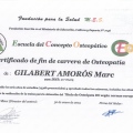 Acercar imagen: certificate 13