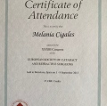 Acercar imagen: certificate 20