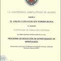 Acercar imagen: certificate 13