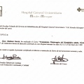 Acercar imagen: certificate 13