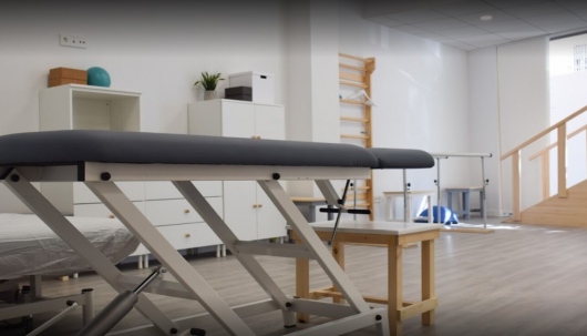 Vicente Roselló Molina-0