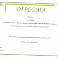 Acercar imagen: certificate 29