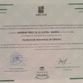 Acercar imagen: certificate 8