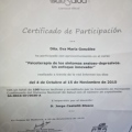 Acercar imagen: certificate 16