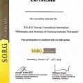 Acercar imagen: certificate 10