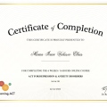 Acercar imagen: certificate 2