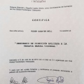 Acercar imagen: certificate 11
