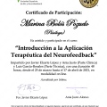 Acercar imagen: certificate 10