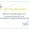 Acercar imagen: certificate 15