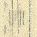 Acercar imagen: certificate 7