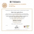 Acercar imagen: certificate 17
