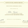 Acercar imagen: certificate 10