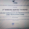 Acercar imagen: certificate 4