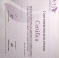 Acercar imagen: certificate 31
