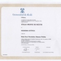 Acercar imagen: certificate 3