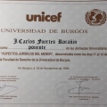 Acercar imagen: certificate 17