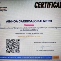 Acercar imagen: certificate 12