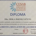 Acercar imagen: certificate 4