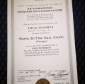 Acercar imagen: certificate 6