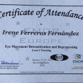 Acercar imagen: certificate 4
