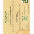 Acercar imagen: certificate 5
