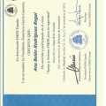 Acercar imagen: certificate 9