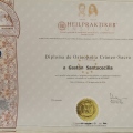 Acercar imagen: certificate 5