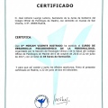 Acercar imagen: certificate 11