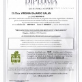Acercar imagen: certificate 6