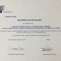 Acercar imagen: certificate 1
