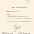 Acercar imagen: certificate 33