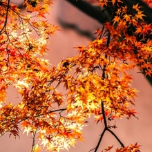 Acercar imagen: Isidro Martínez Cascales, Psicólogo Santomera