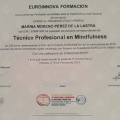 Acercar imagen: certificate 11