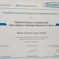 Acercar imagen: certificate 3