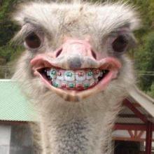 Acercar imagen: Bibiana Álvarez González, Dentista Vigo