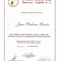 Acercar imagen: certificate 20