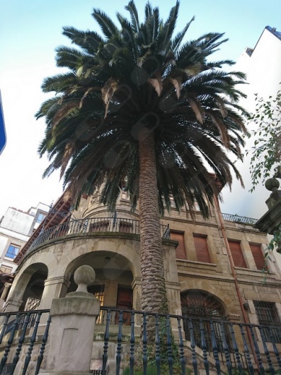 Sara Carrasco Sanchez-14