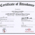 Acercar imagen: certificate 28