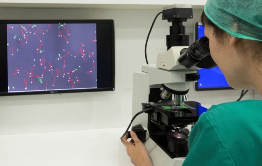 Rosa María Borràs-10