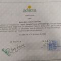 Acercar imagen: certificate 3