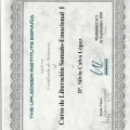 Acercar imagen: certificate 25
