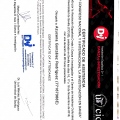Acercar imagen: certificate 9