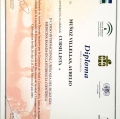 Acercar imagen: certificate 24