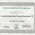 Acercar imagen: certificate 26