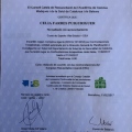 Acercar imagen: certificate 9